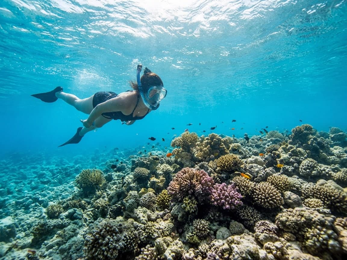 Snorkelling above a shallow reef.